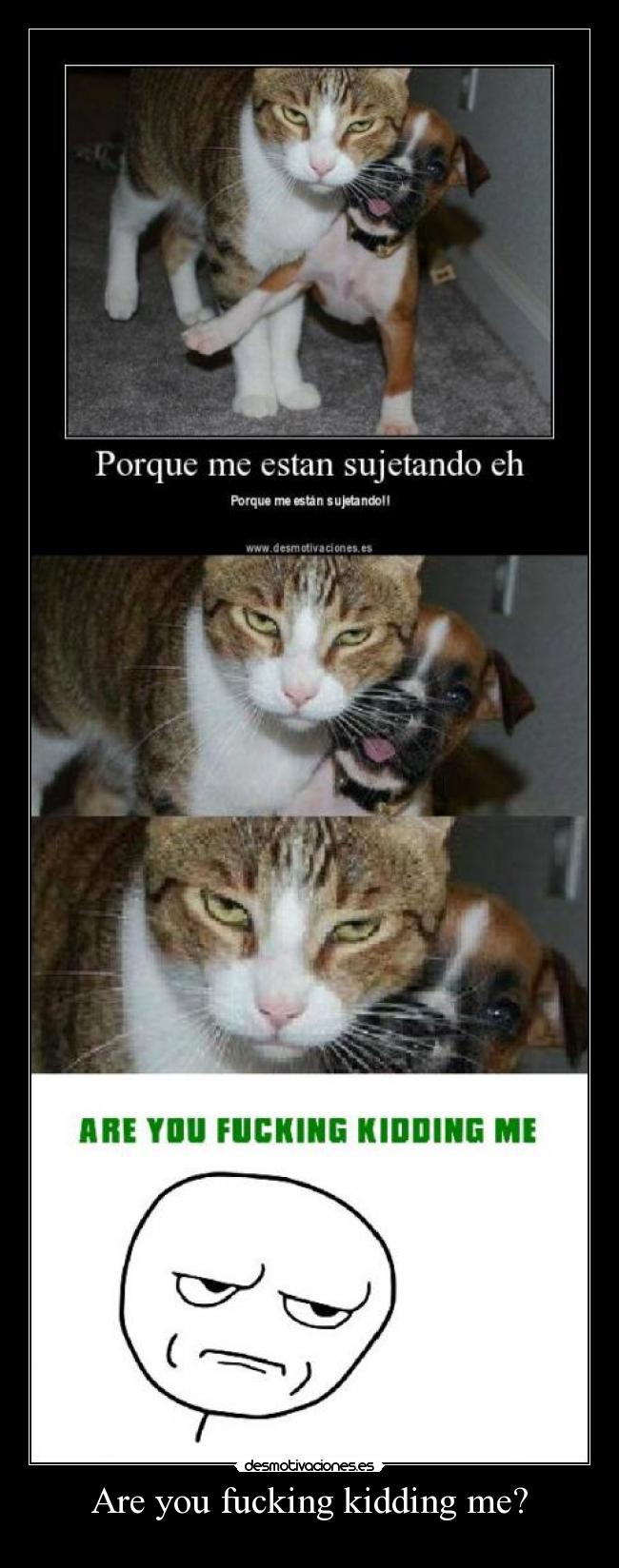 Are you fucking kidding me? -