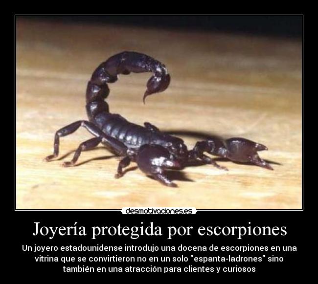 Joyería protegida por escorpiones -