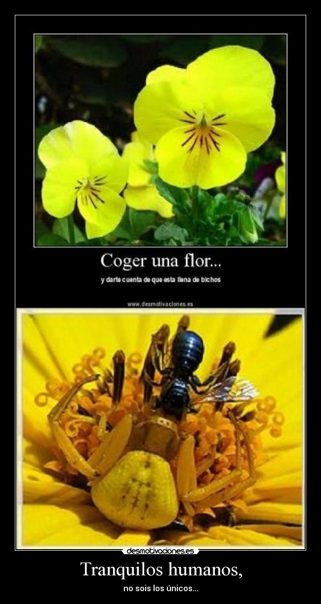 Tranquilos humanos, - no sois los únicos...