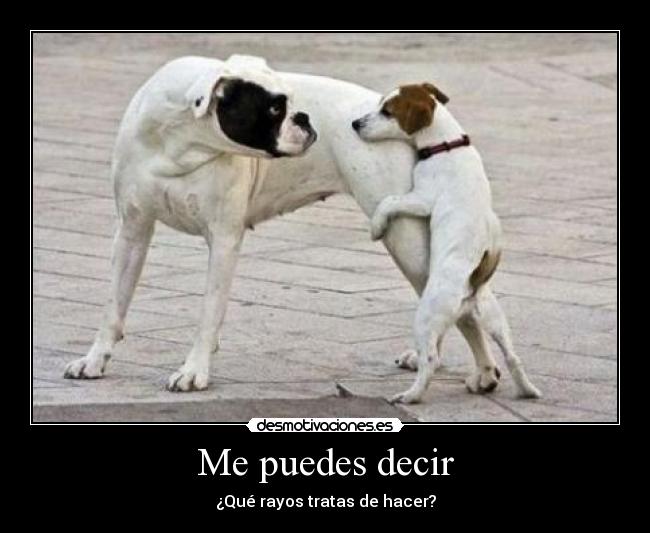 Me puedes decir - ¿Qué rayos tratas de hacer?