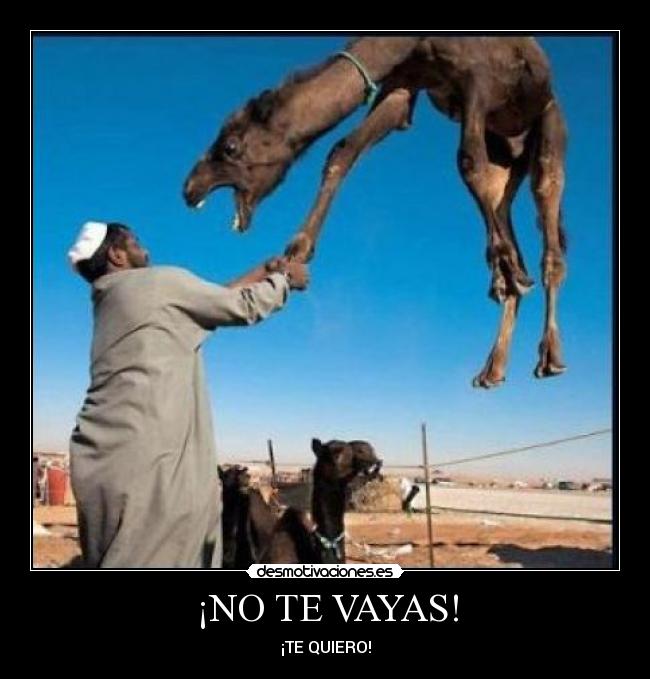 ¡NO TE VAYAS! - 