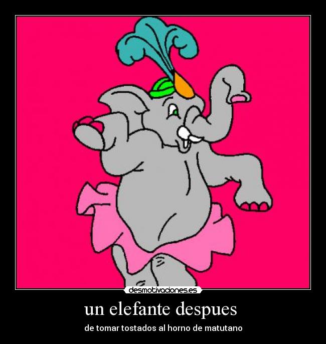 un elefante despues - de tomar tostados al horno de matutano