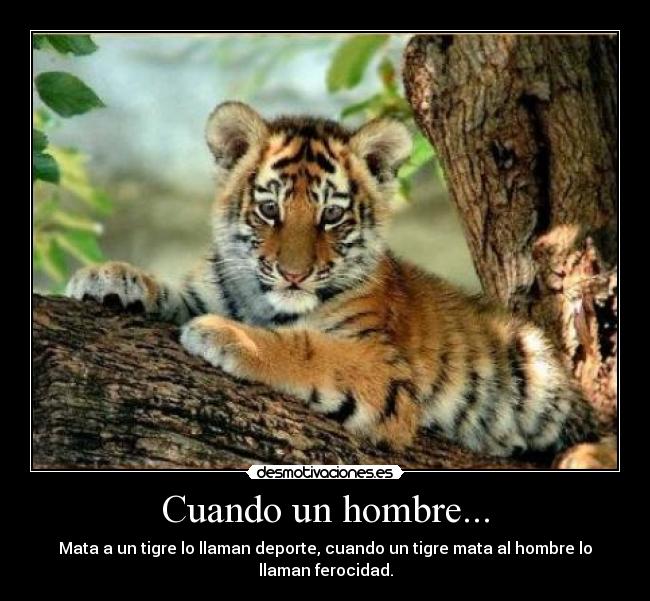 Cuando un hombre... - Mata a un tigre lo llaman deporte, cuando un tigre mata al hombre lo
llaman ferocidad.