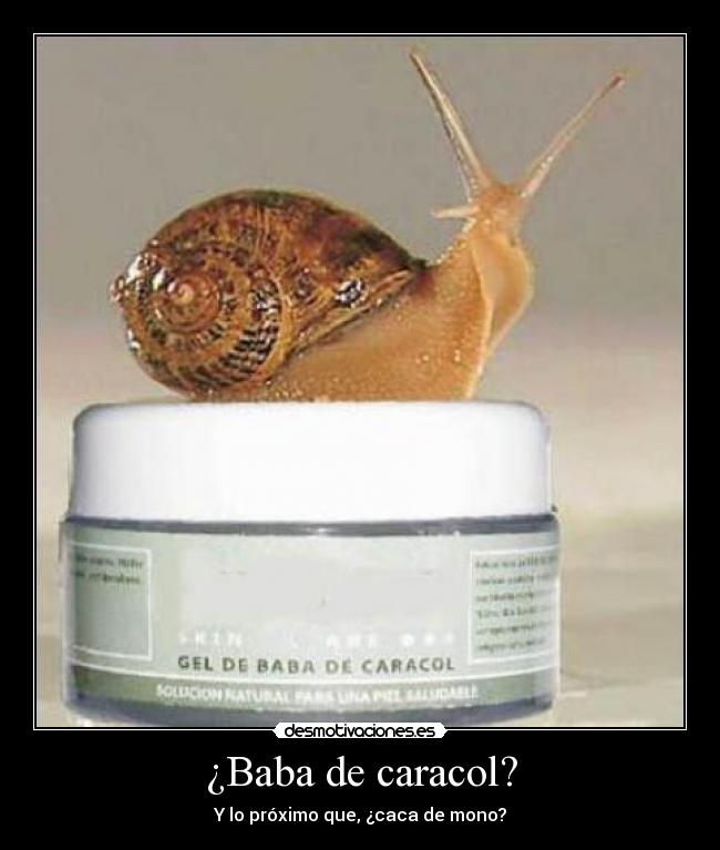 ¿Baba de caracol? - 