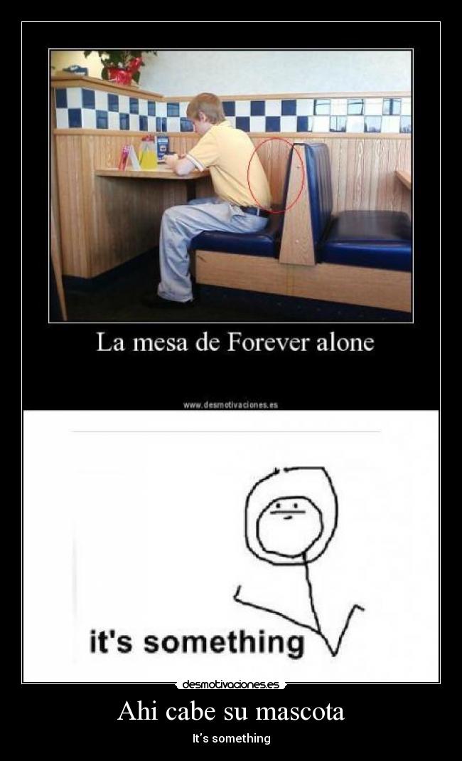 Ahi cabe su mascota -