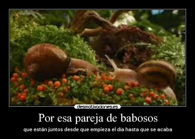 Por esa pareja de babosos - que están juntos desde que empieza el día hasta que se acaba