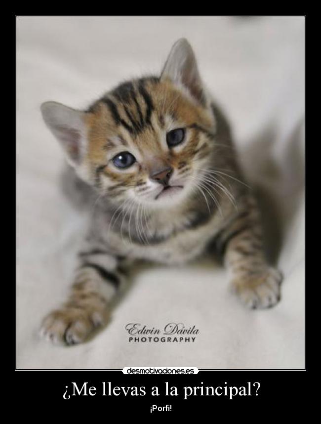 carteles naya desmotivaciones