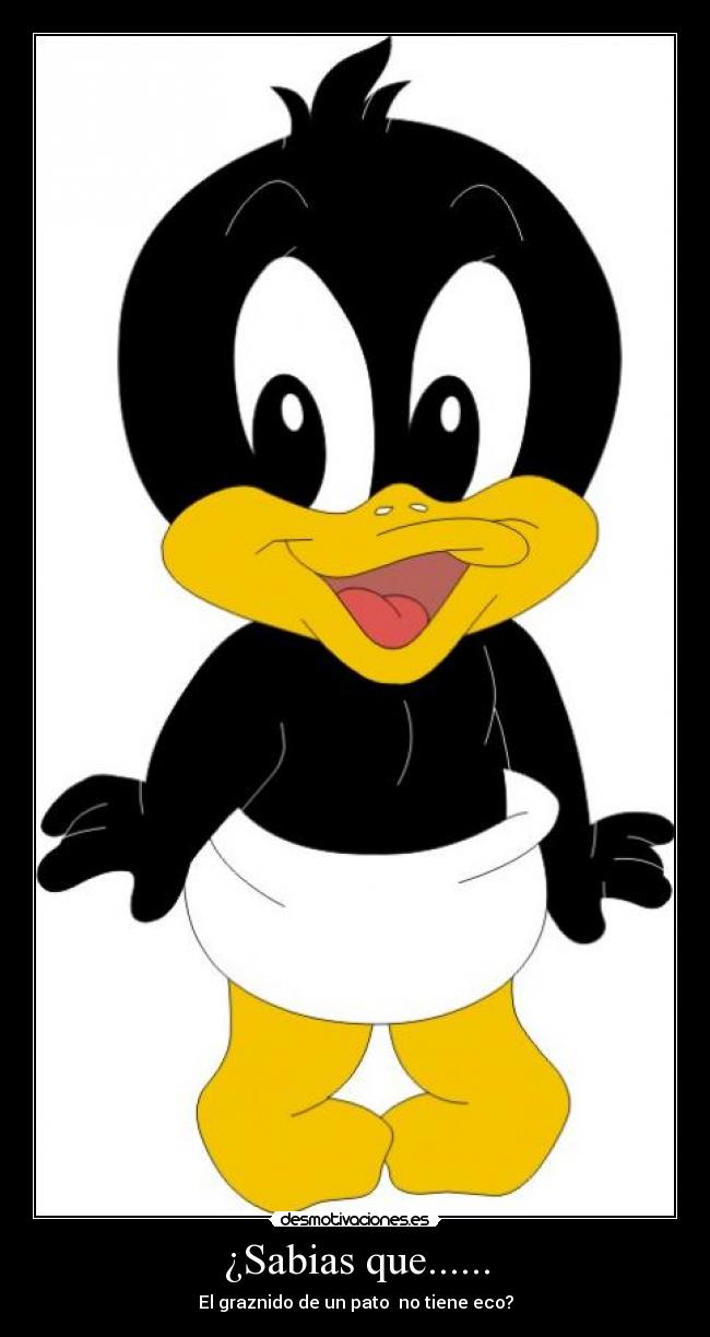 ¿Sabias que...... - El graznido de un pato  no tiene eco?