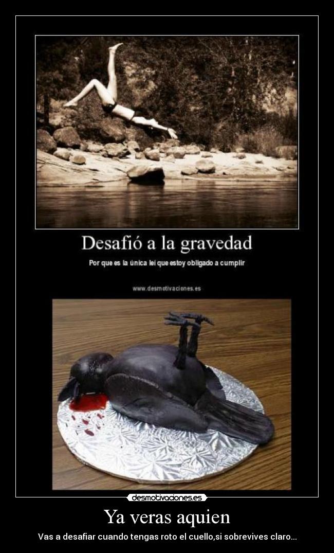 Ya veras aquien - Vas a desafiar cuando tengas roto el cuello,si sobrevives claro...