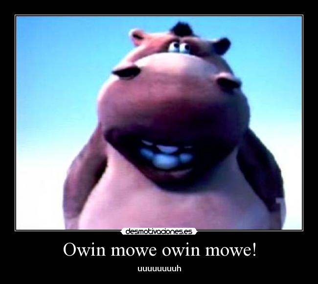 Owin mowe owin mowe! - uuuuuuuuh