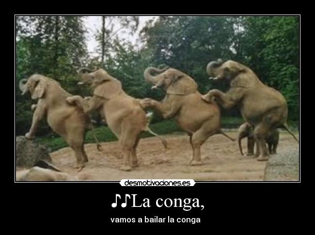 ♪♪La conga, - vamos a bailar la conga ♪♪