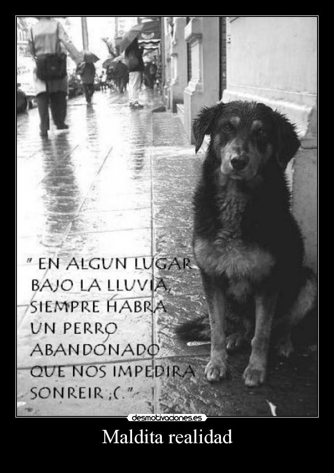 Maldita realidad - 