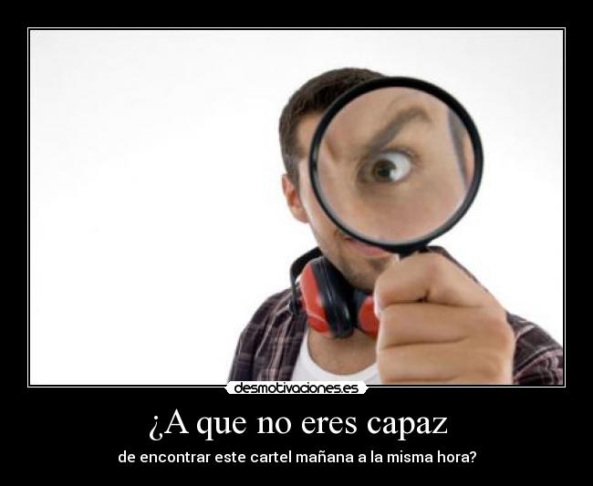 carteles perros gatos animales desmotivaciones motivacion cartel desmotivaciones