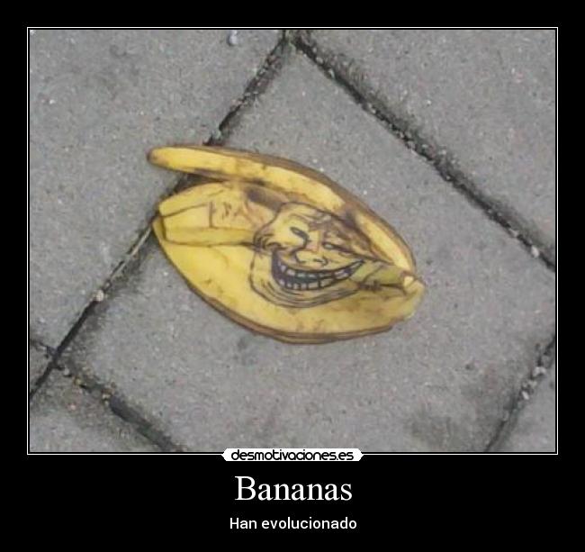 Bananas - 