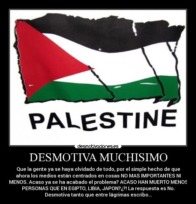 DESMOTIVA MUCHISIMO - Que la gente ya se haya olvidado de todo, por el simple hecho de que
ahora los medios están centrados en cosas NO MAS IMPORTANTES NI
MENOS. Acaso ya se ha acabado el problema? ACASO HAN MUERTO MENOS
PERSONAS QUE EN EGIPTO, LIBIA, JAPON?¿?! La respuesta es No.
Desmotiva tanto que entre lágrimas escribo...
