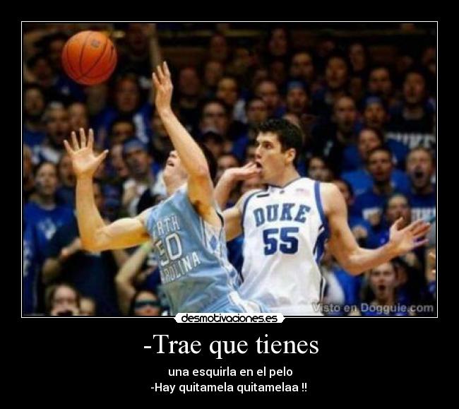 -Trae que tienes - una esquirla en el pelo
-Hay quitamela quitamelaa !! 