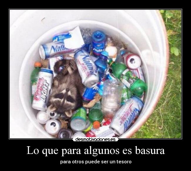 Lo que para algunos es basura - 