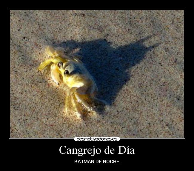 Cangrejo de Día - BATMAN DE NOCHE.