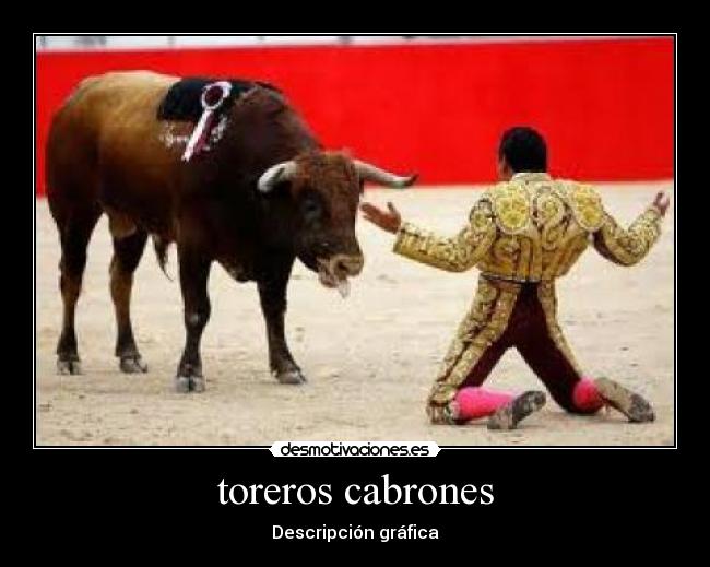 carteles fgxhxfds desmotivaciones