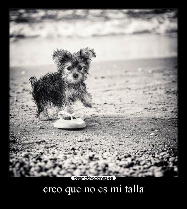 creo que no es mi talla -