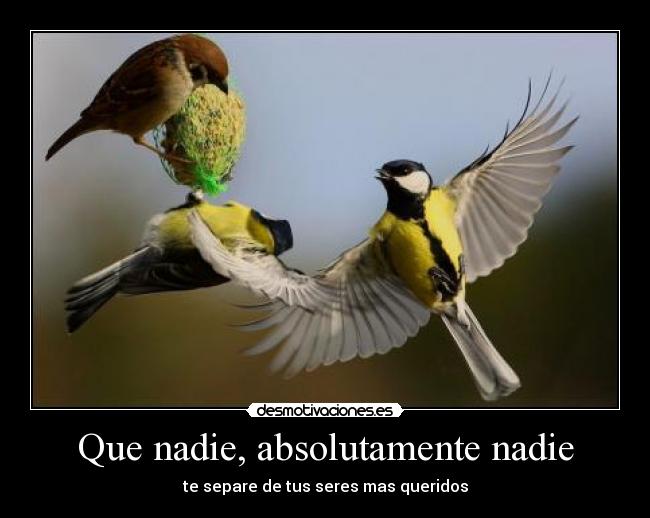 Que nadie, absolutamente nadie - 