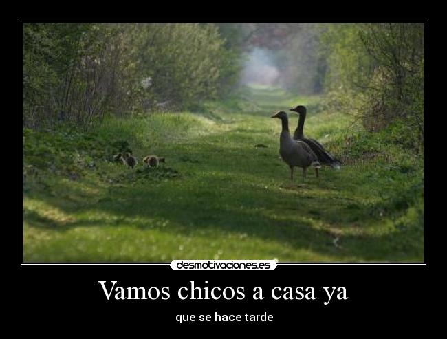 Vamos chicos a casa ya - 
