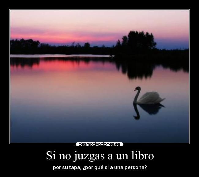 carteles libro desmotivaciones