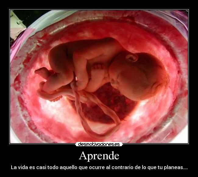 Aprende -