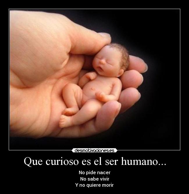 Que curioso es el ser humano... - 