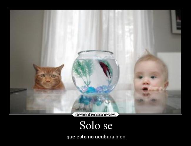 Solo se - que esto no acabara bien