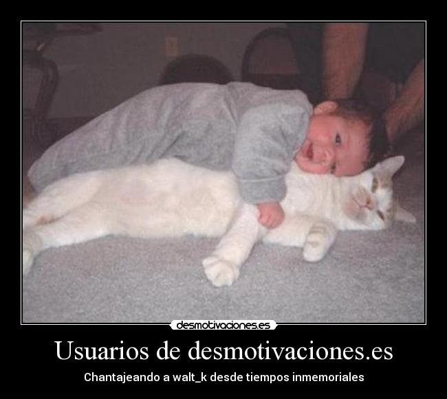 Usuarios de desmotivaciones.es - Chantajeando a walt_k desde tiempos inmemoriales