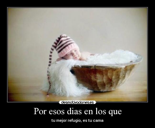 carteles quelejodanalespejo desmotivaciones