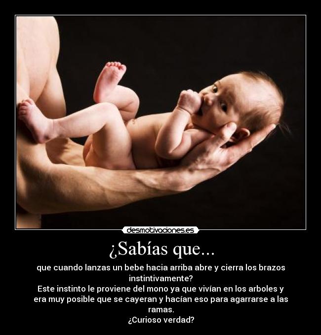 ¿Sabías que... -