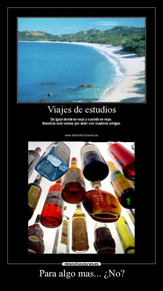 carteles bebidas desmotivaciones