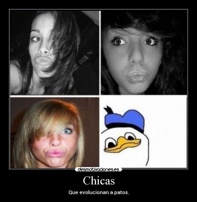 Chicas - 