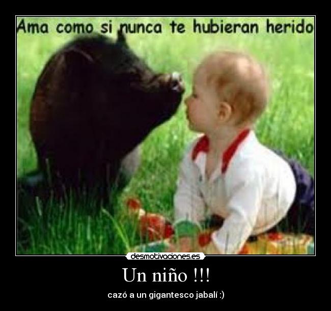 Un niño !!! - cazó a un gigantesco jabalí :)