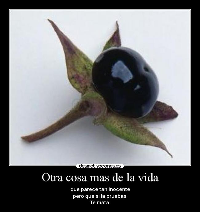 Otra cosa mas de la vida - 