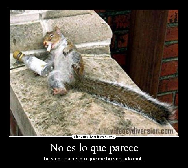No es lo que parece -