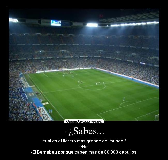-¿Sabes... - 