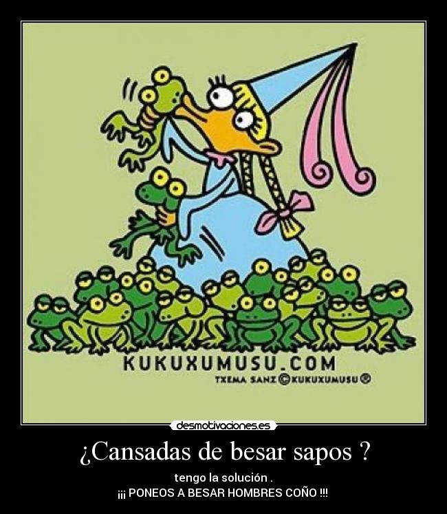 ¿Cansadas de besar sapos ? - 
