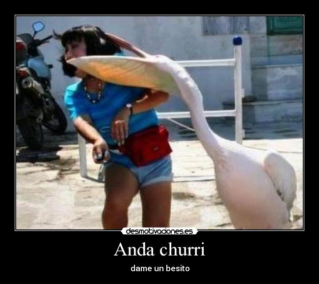 Anda churri - 