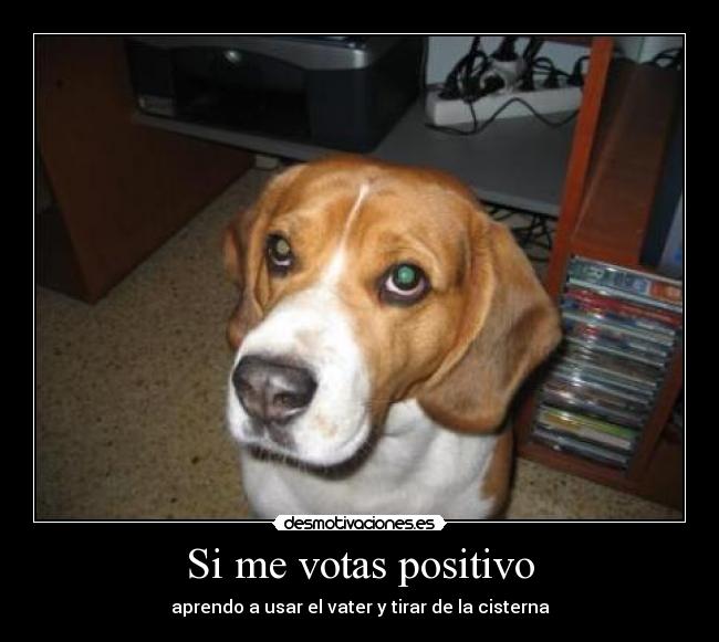 Si me votas positivo - aprendo a usar el vater y tirar de la cisterna