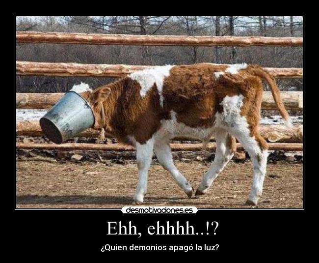 carteles vaca luz desmotivaciones