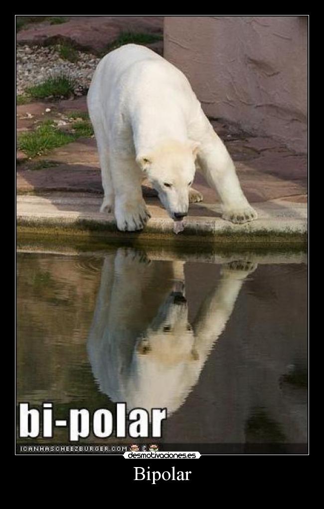 Bipolar - 