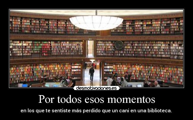 Por todos esos momentos - en los que te sentiste más perdido que un cani en una biblioteca. 