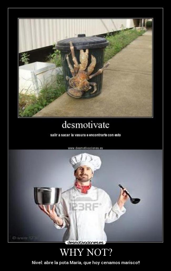 carteles axeo desmotivaciones