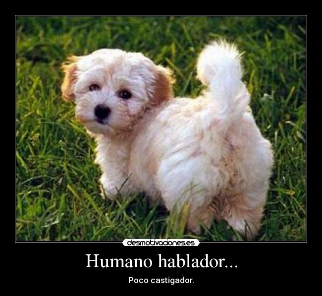 Humano hablador... -