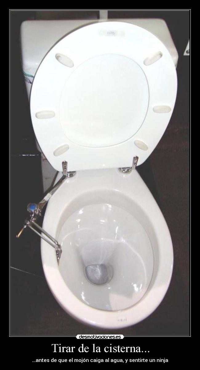 Tirar de la cisterna... -