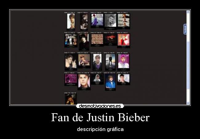 Fan de Justin Bieber - descripción gráfica