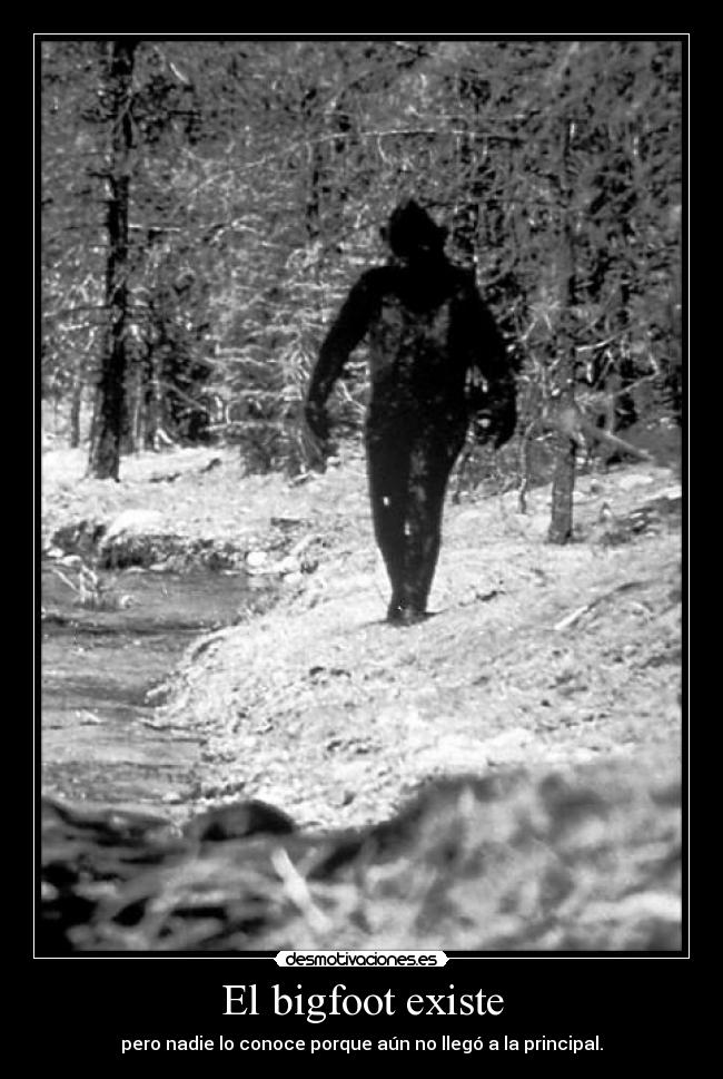 El bigfoot existe - 